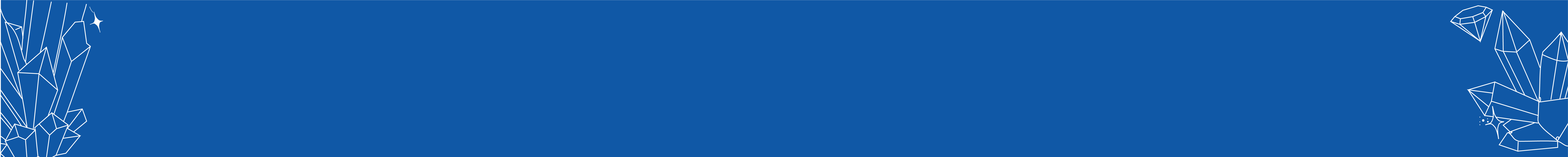 Plume d'oie blanche matelassée