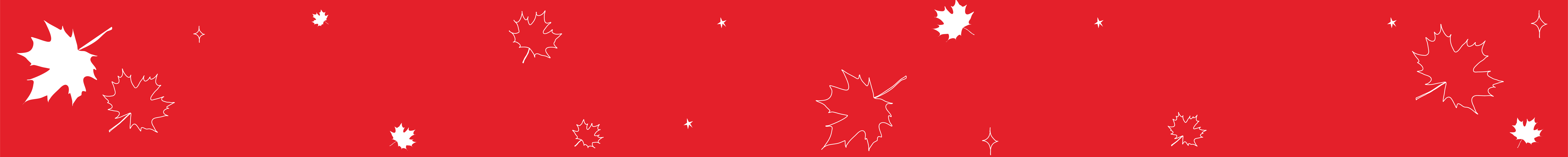 Duvet d'oie huttérite 850 loft