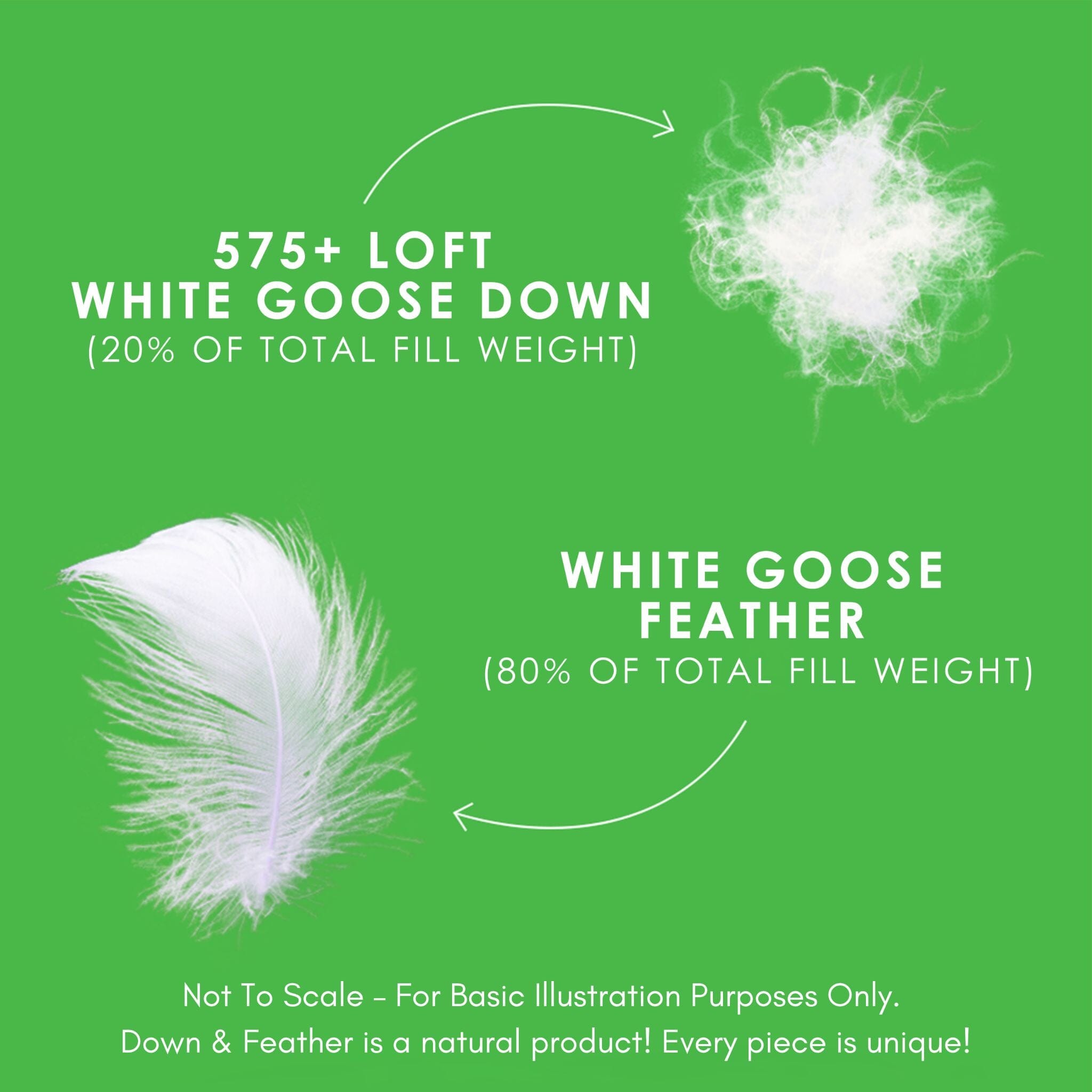 White Goose Feather & Down Duvet - Canadian Down & Feather Company