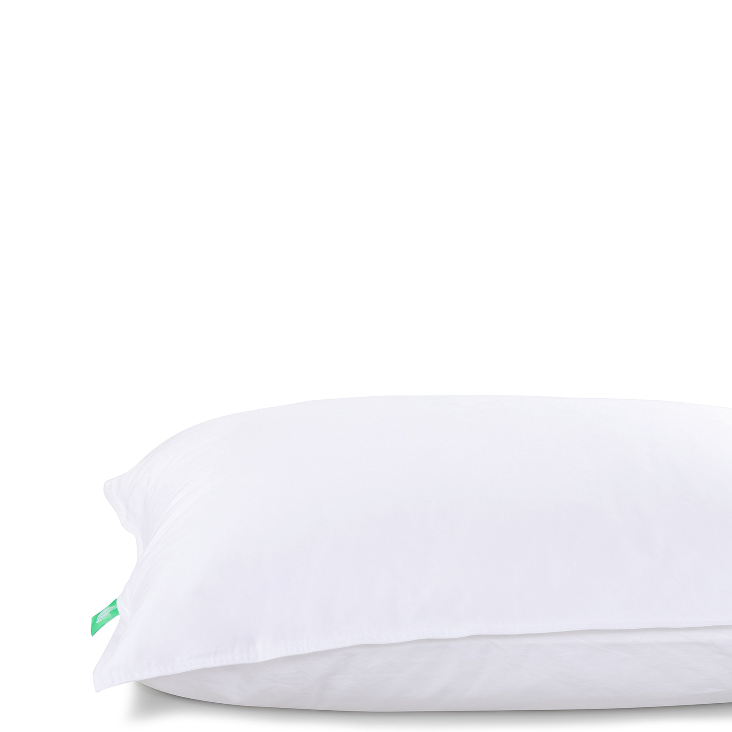Pillow Wear™ Pillow Protector 255 Thread Count - Canadian Down & Feather Company