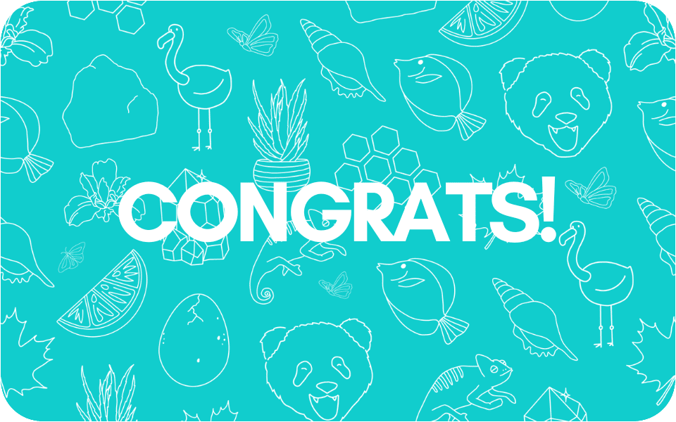 Gift Card Gift Card Canadian Down & Feather Company Congratulations $25 CAD