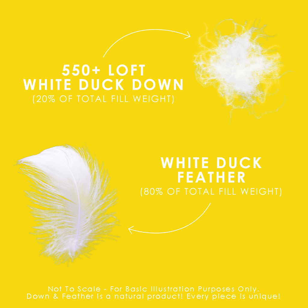White Feather & Down Duvet - Canadian Down & Feather Company