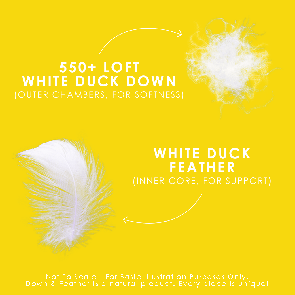 Down Perfect White Feather & Down Pillow - Canadian Down & Feather Company