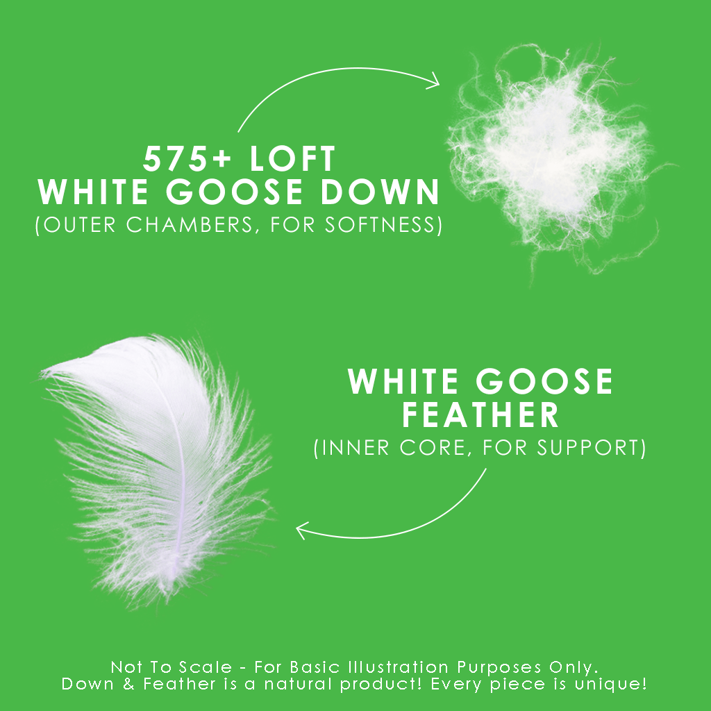 Down Perfect Cushions - Canadian Down & Feather Company