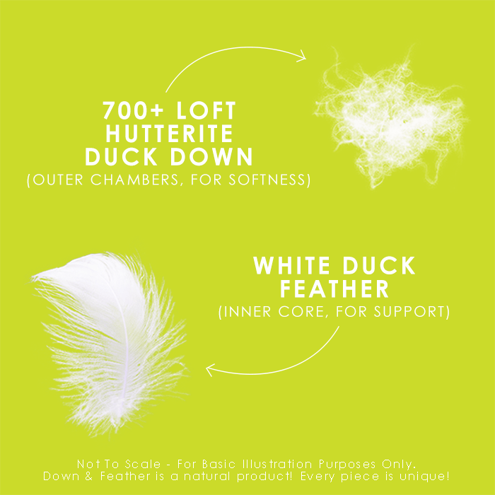 Hutterite Down Perfect Pillow - Canadian Down & Feather Company