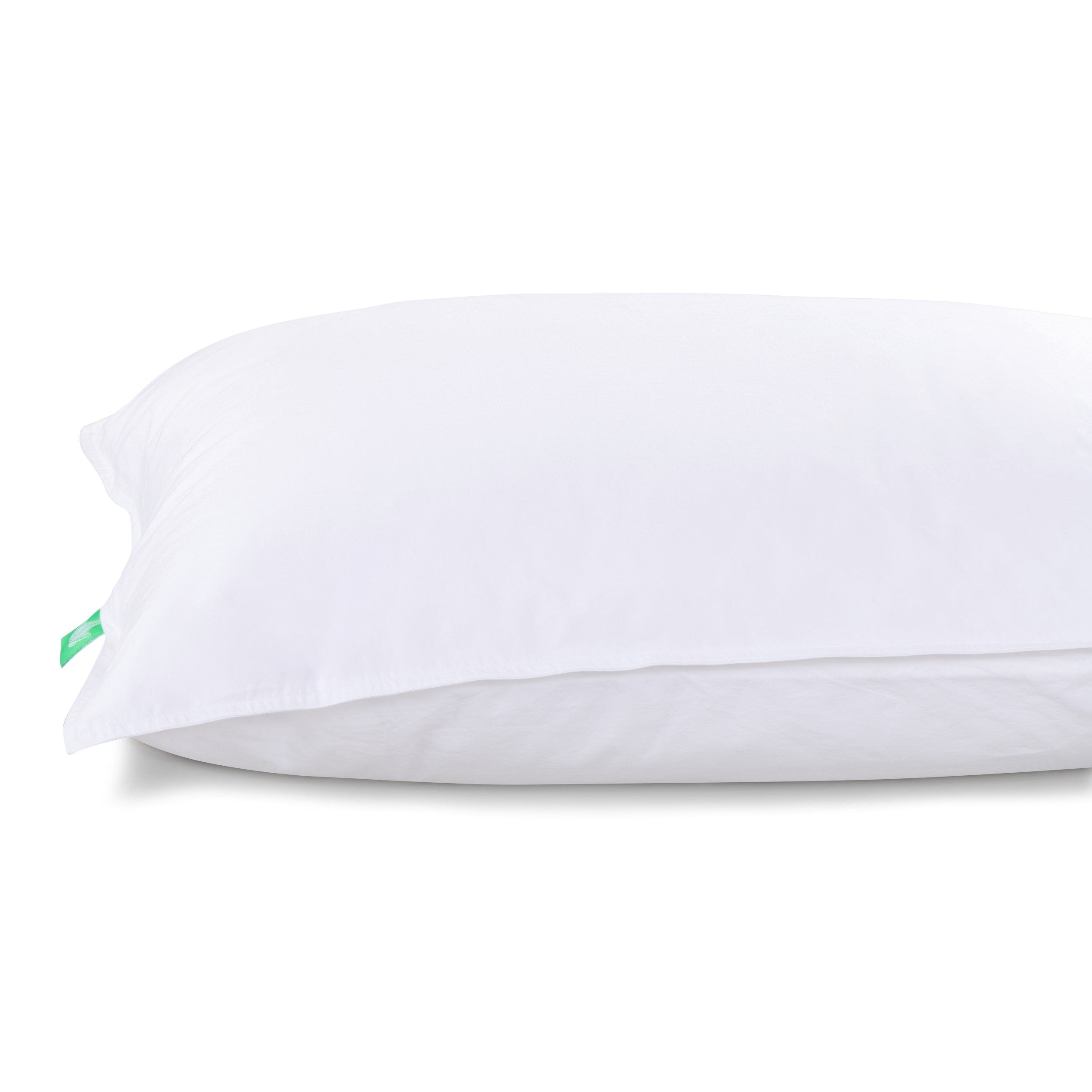 Pillow Wear™ Pillow Protector 255 Thread Count - Canadian Down & Feather Company 