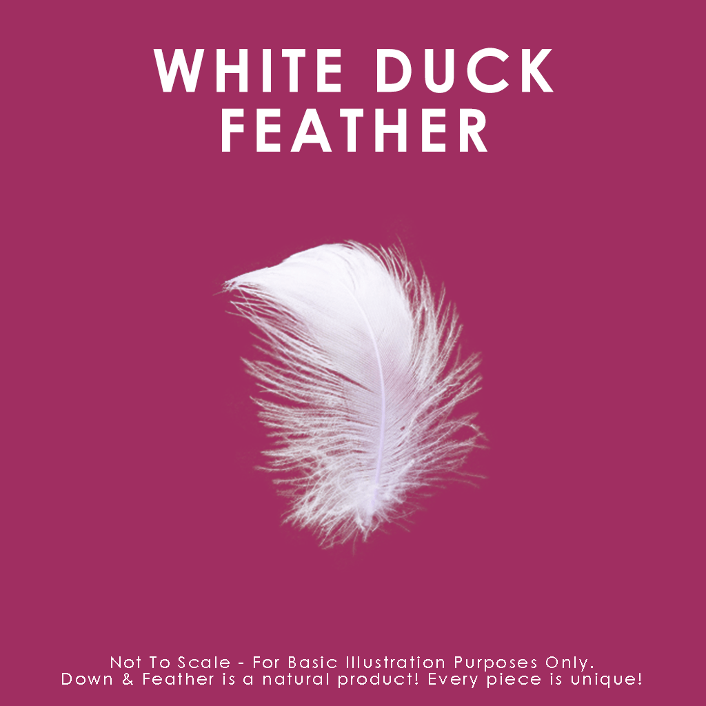 White Feather Cushions - Canadian Down & Feather Company 