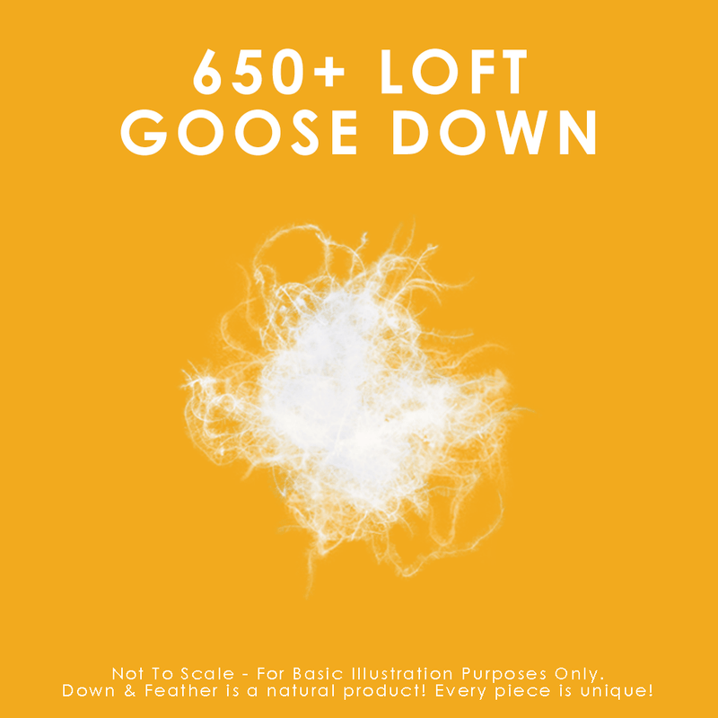 650 Loft White Goose Down Duvet Duvet Canadian Down & Feather Company 