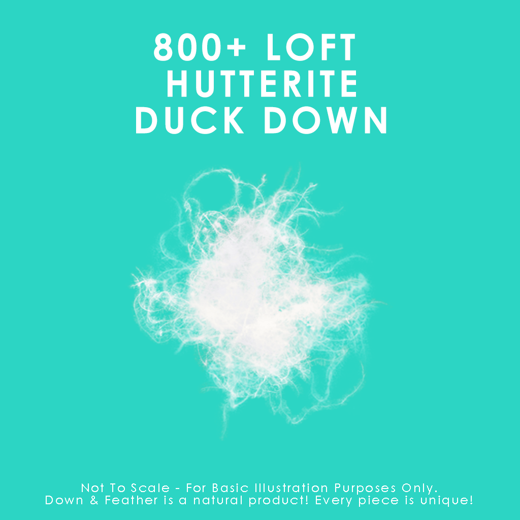 800 Loft Hutterite White Down Duvet - Canadian Down & Feather Company 