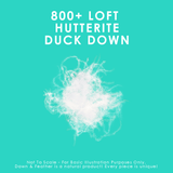 800 Loft Hutterite White Down Duvet Duvet Canadian Down & Feather Company 