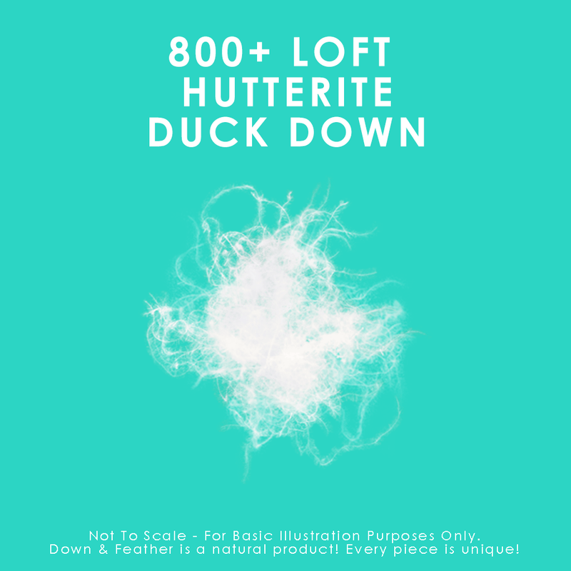 800 Loft Hutterite White Down Duvet Duvet Canadian Down & Feather Company 