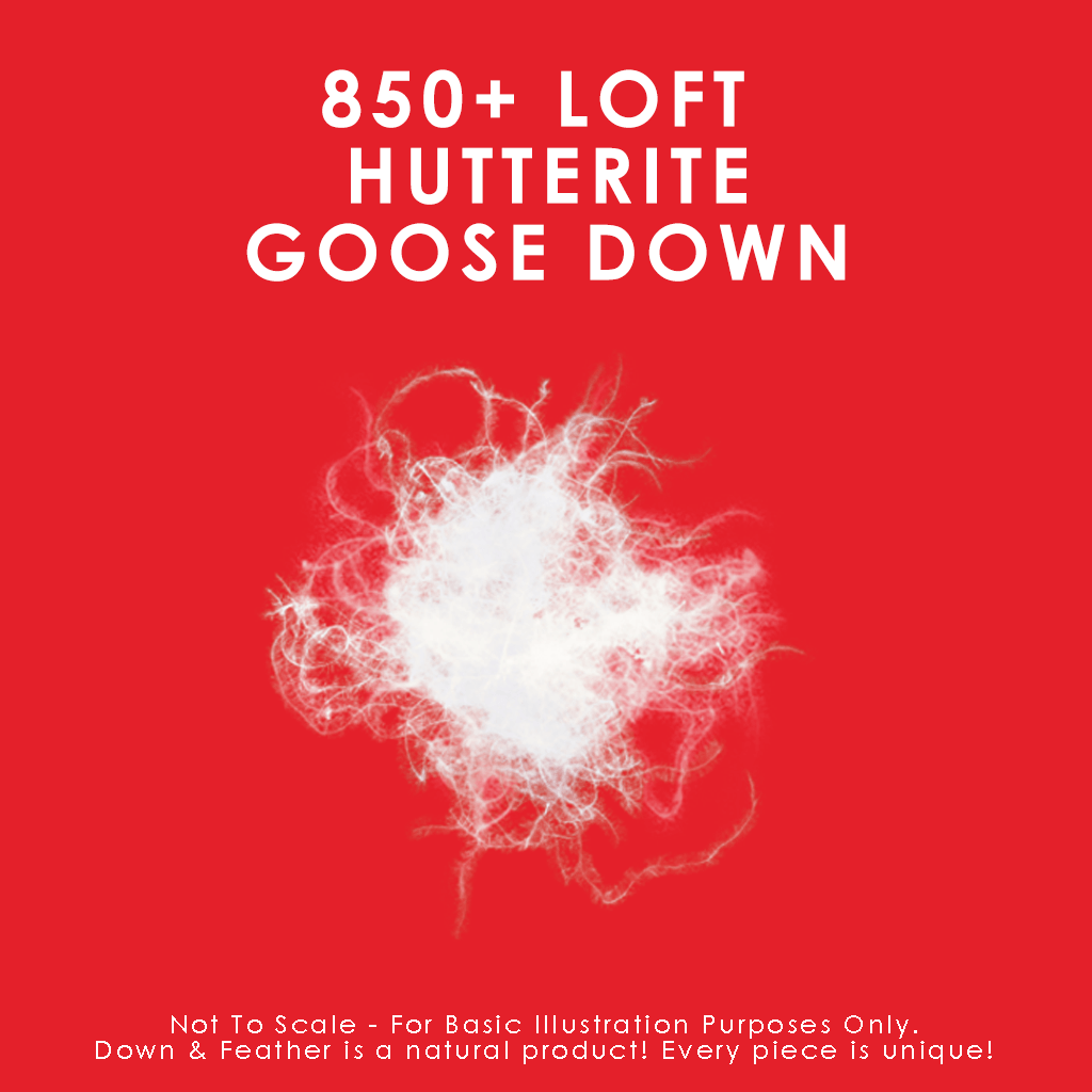 850 Loft Hutterite Goose Down Duvet Duvet Canadian Down & Feather Company 