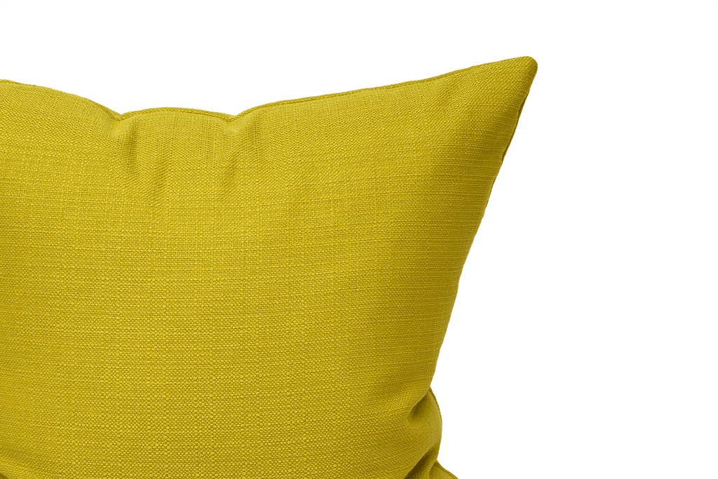 Apple Cushion Cover